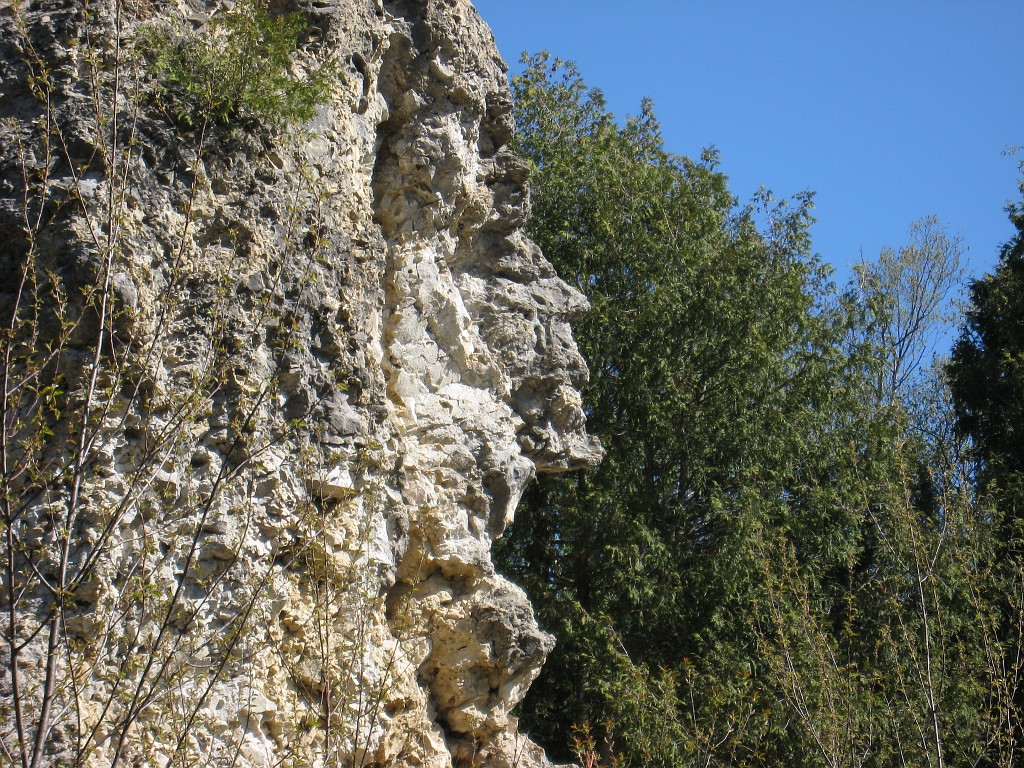 Mackinaw Island Area May 2008 0898.jpg - May 24 2008 a trip to Mackinac City for a 5 M race and a visit to Mackinac Island. A day to the UP, Paradise, Whitefish Point and Tahquamen Falls. This was followed by trips to Petoskey and Charlevoix.
